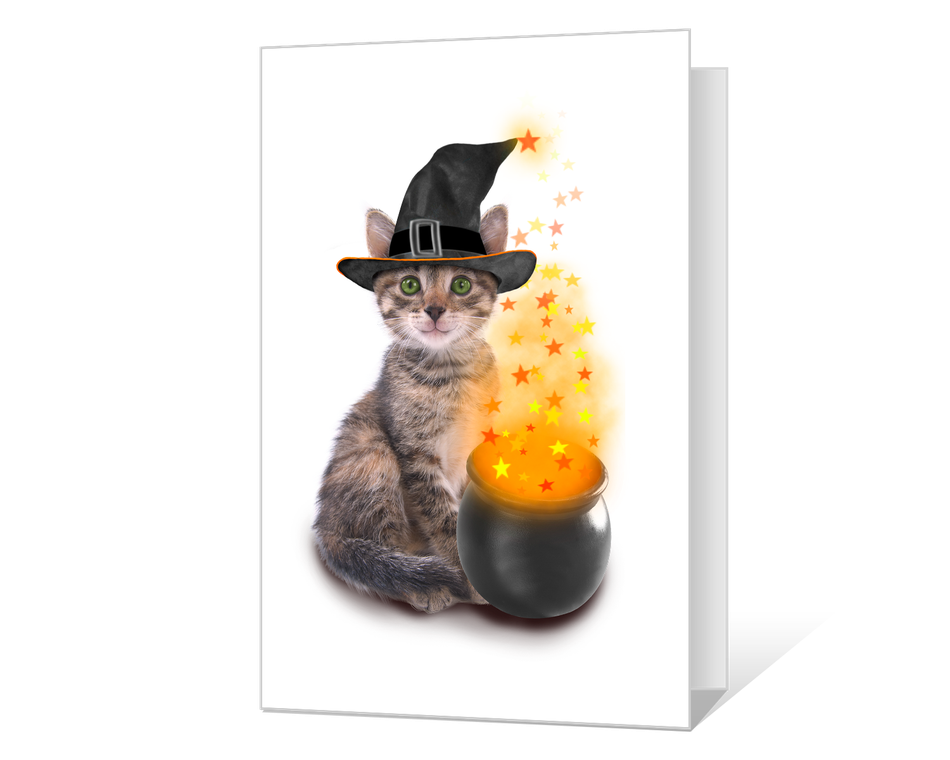 Halloween Fun