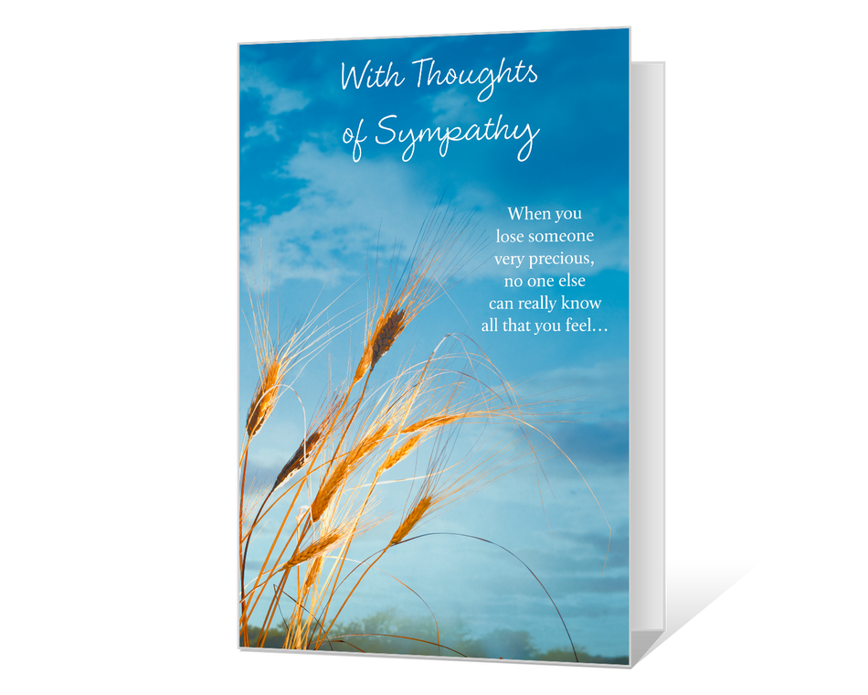 Thoughts of Sympathy