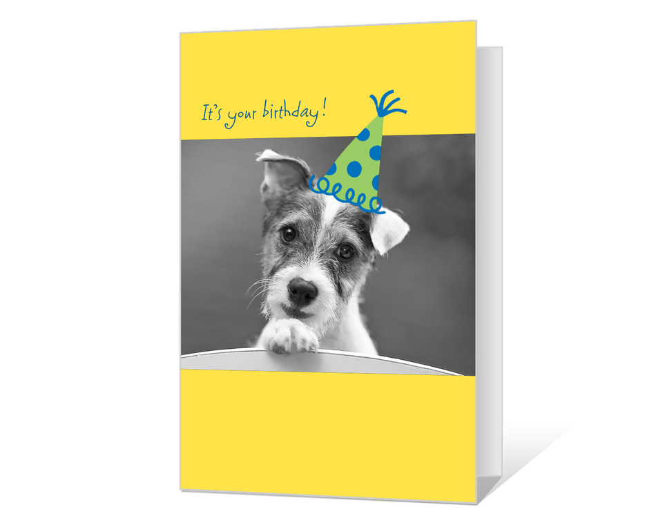 Tail-wagging Birthday