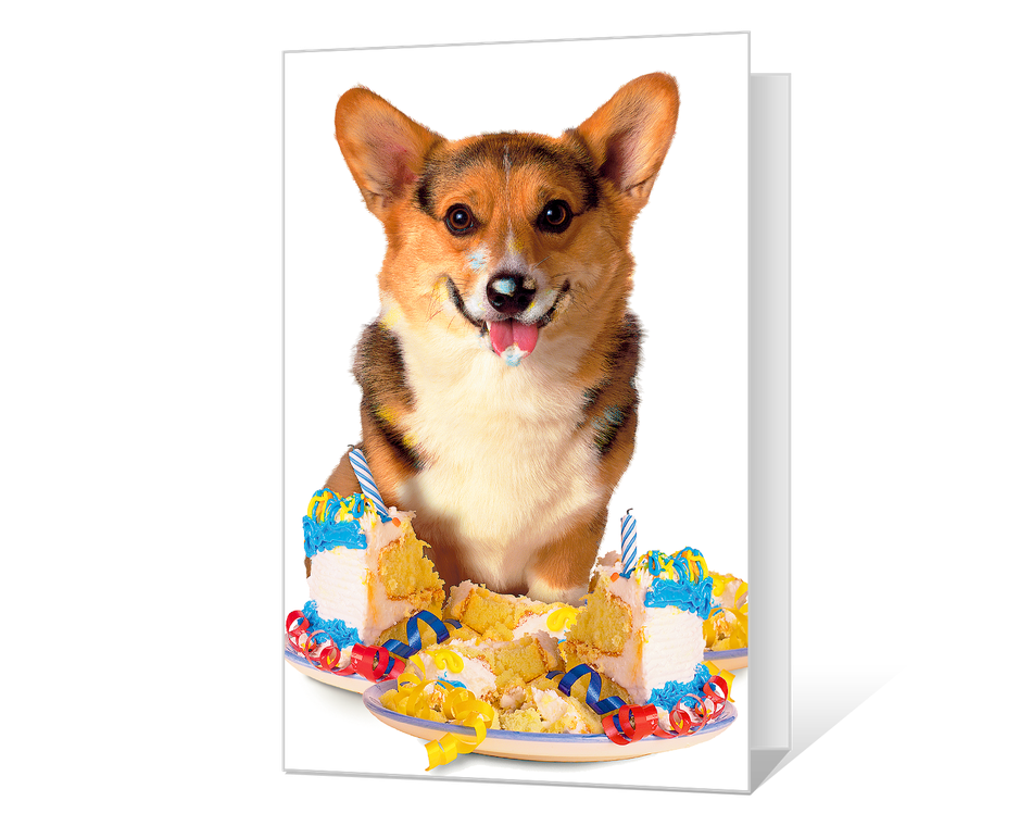 Birthday to Remember Printable