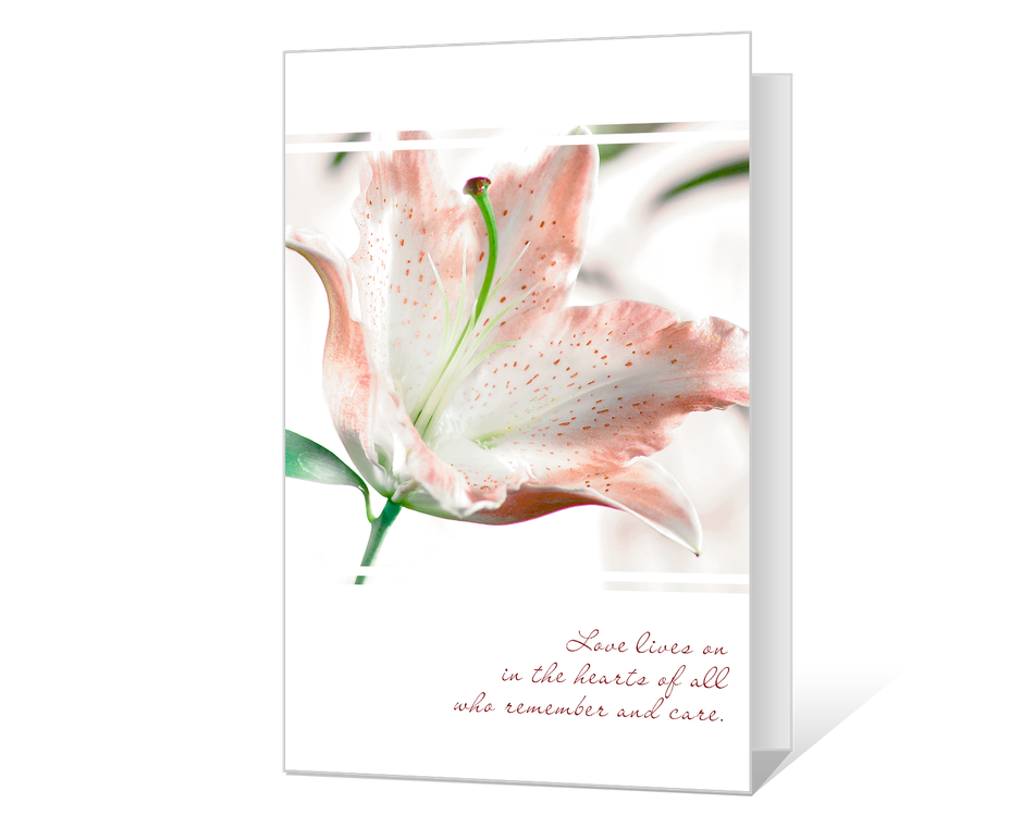 Sharing Your Sorrow Printable
