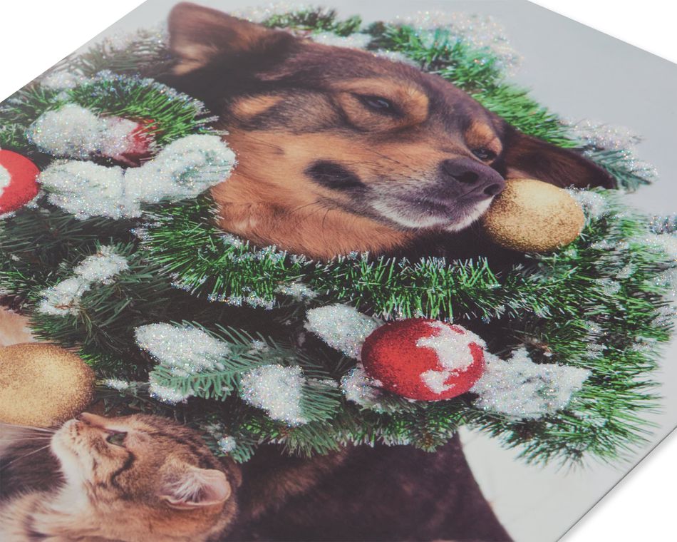 Dog and Cat Christmas Wreath Boxed Cards and White Envelopes, 12-Count