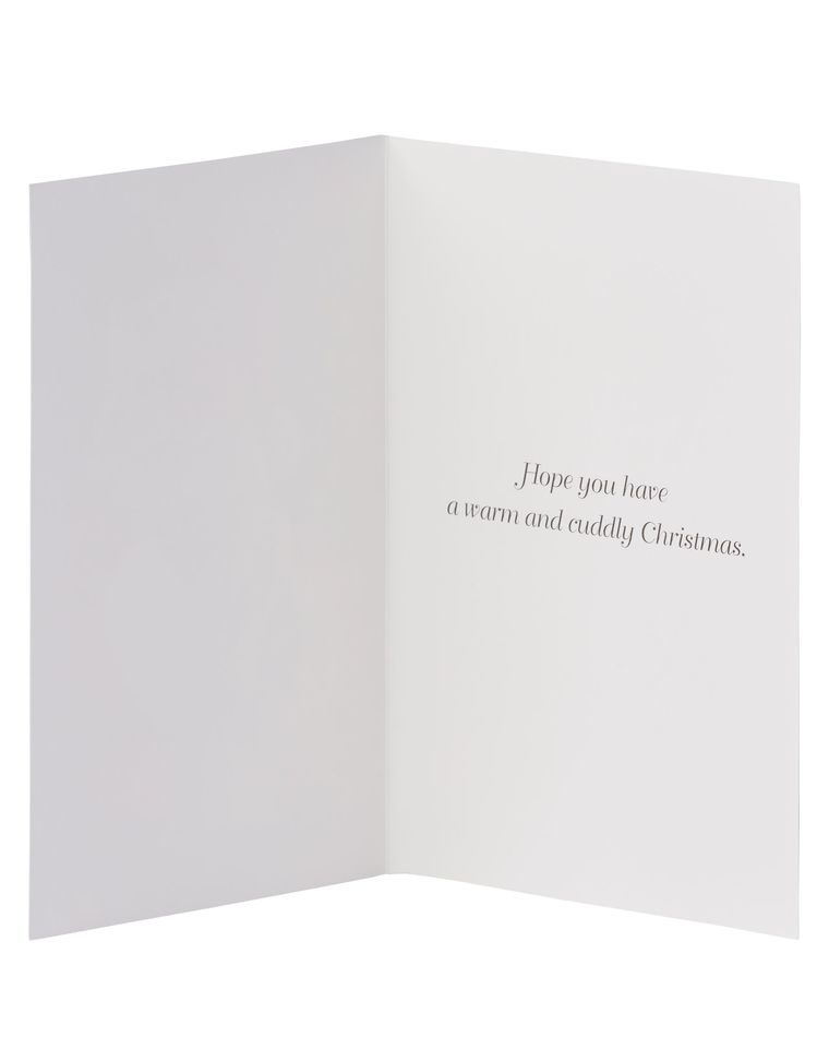 Santa Cuddling Puppy Christmas Boxed Cards, 14 Count