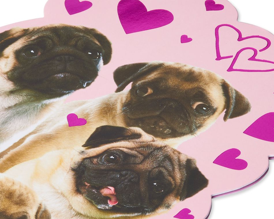 Pugs Valentine's Day Card