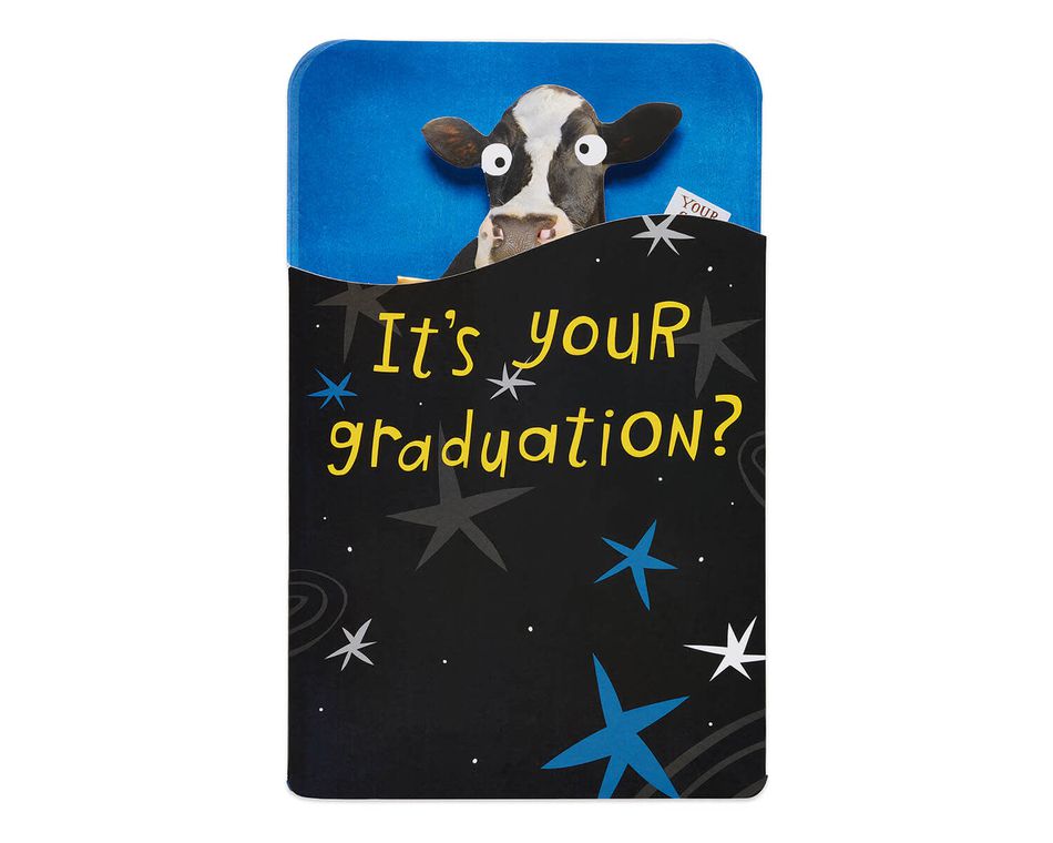 Cow Graduation Card
