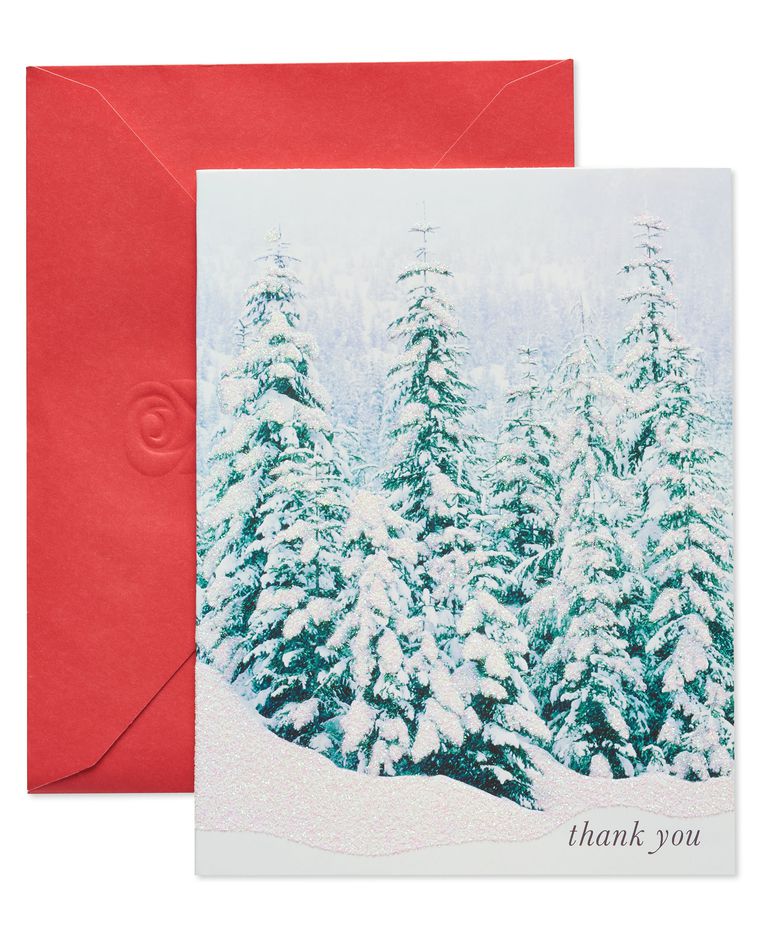 Evergreens with Snow Christmas Thank You Note Cards, 25 Count