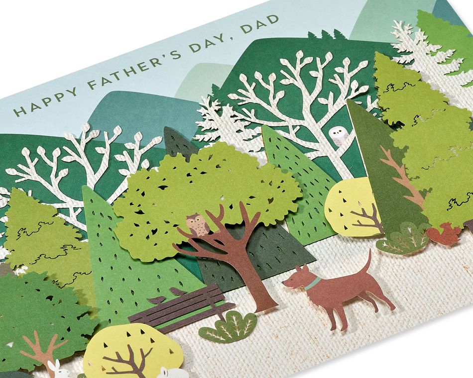 Amazing Adventure Pop Up Father's Day Greeting Card