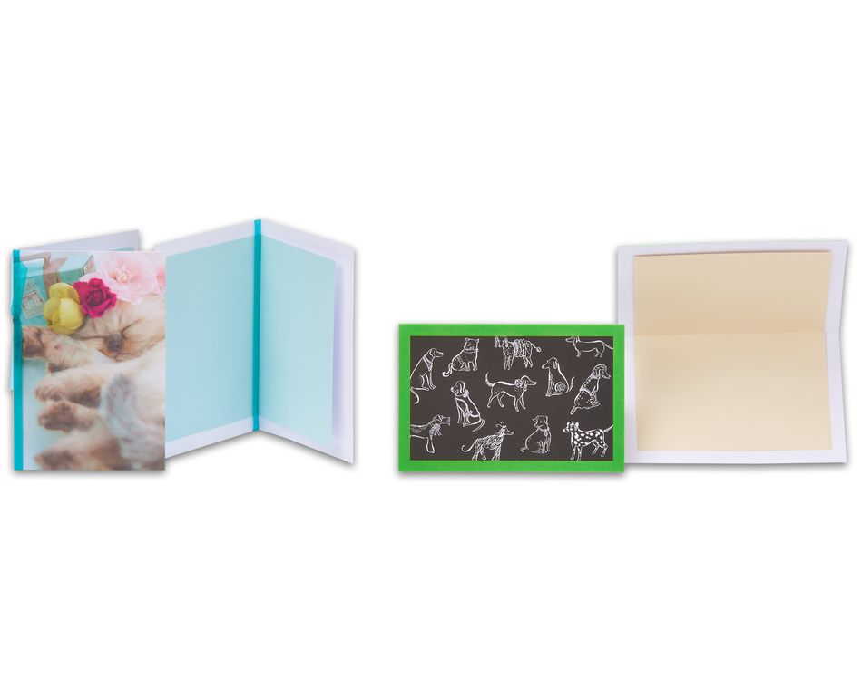 Blank Greeting Card Collection, 8-Count