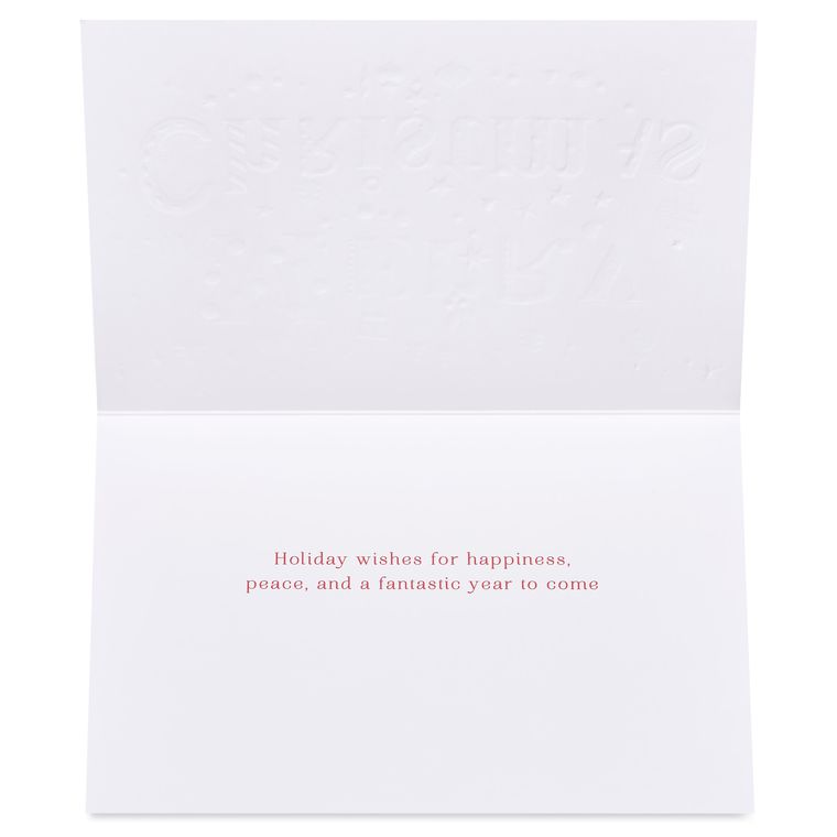 Happiness, Peace, and a Fantastic Year Christmas Cards Boxed with Envelopes, 14-Count