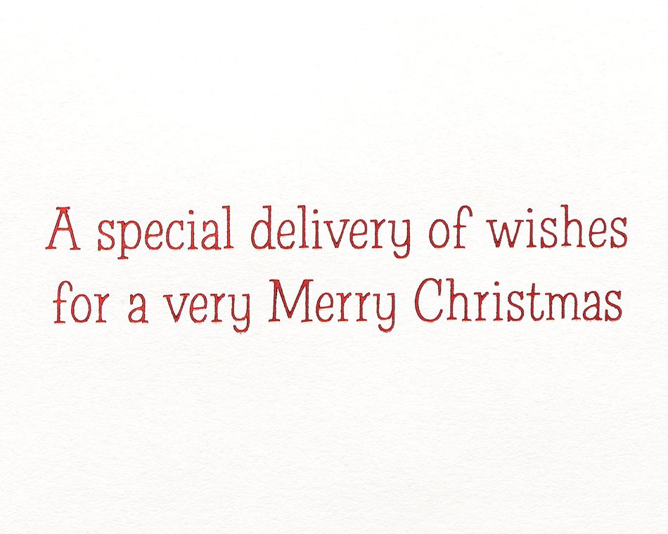 Special Delivery Christmas Greeting Card 