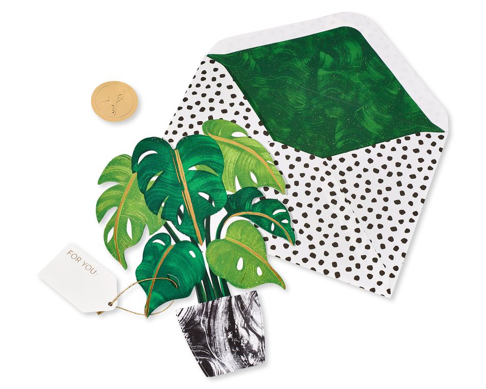 3D Plant Pop-Up Blank Greeting Card 