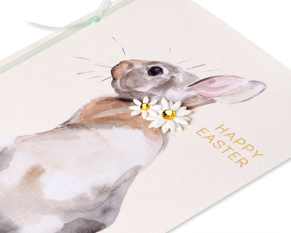Easter Bunny Easter Greeting Card 