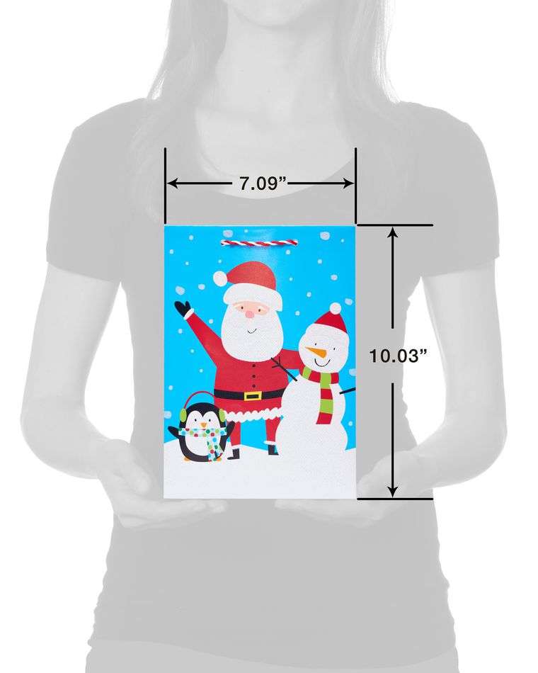 Santa and Snow Friends Small Christmas Gift Bag