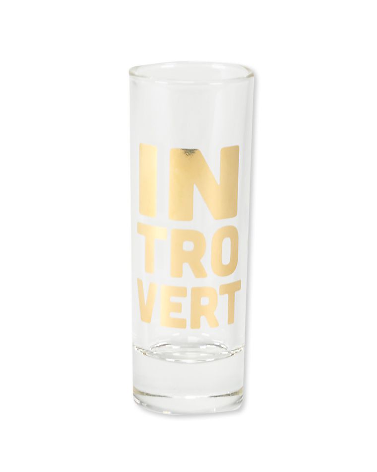 introvert & extrovert shot glasses (set of 2)