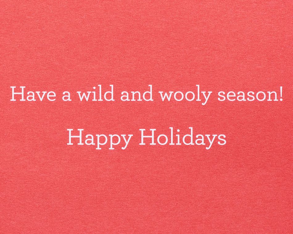 Handmade Llama Funny Holiday Greeting Card