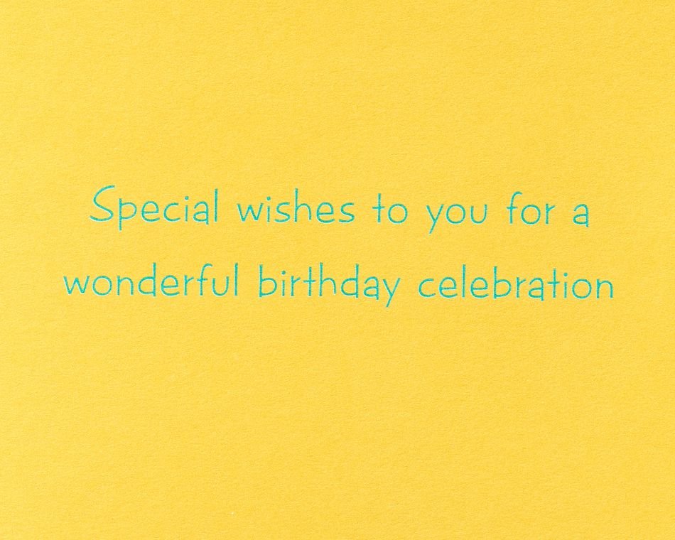 Birthday Balloons Birthday Greeting Card 