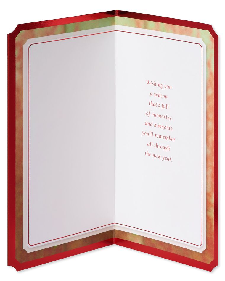 Special Holiday Greetings Christmas Card 