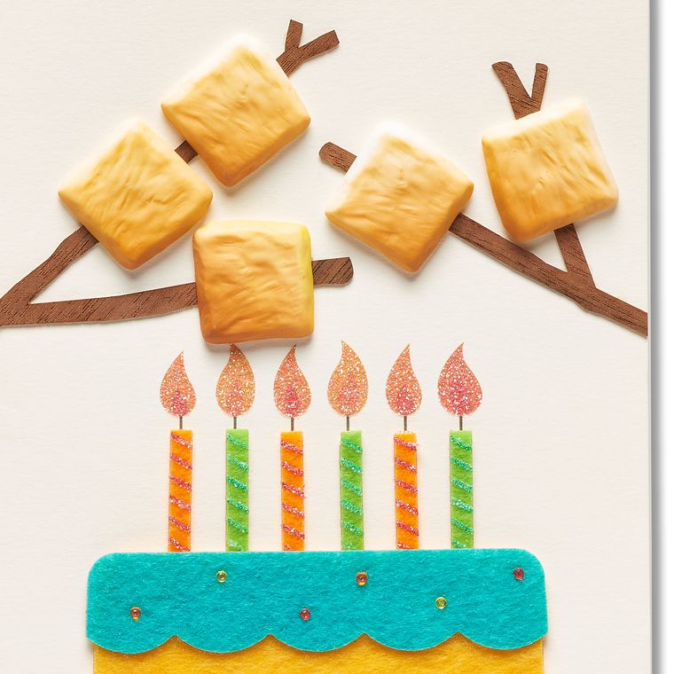 S'more and S'more Birthday Greeting Card