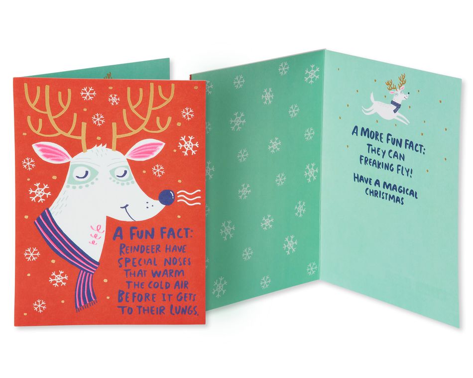 Christmas Card Bundle, 5-Count
