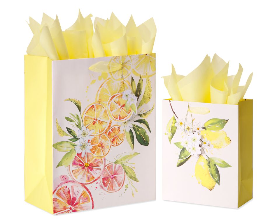 Citrus Gift Bags with Tissue Paper, 2 Bags, 8-Sheets