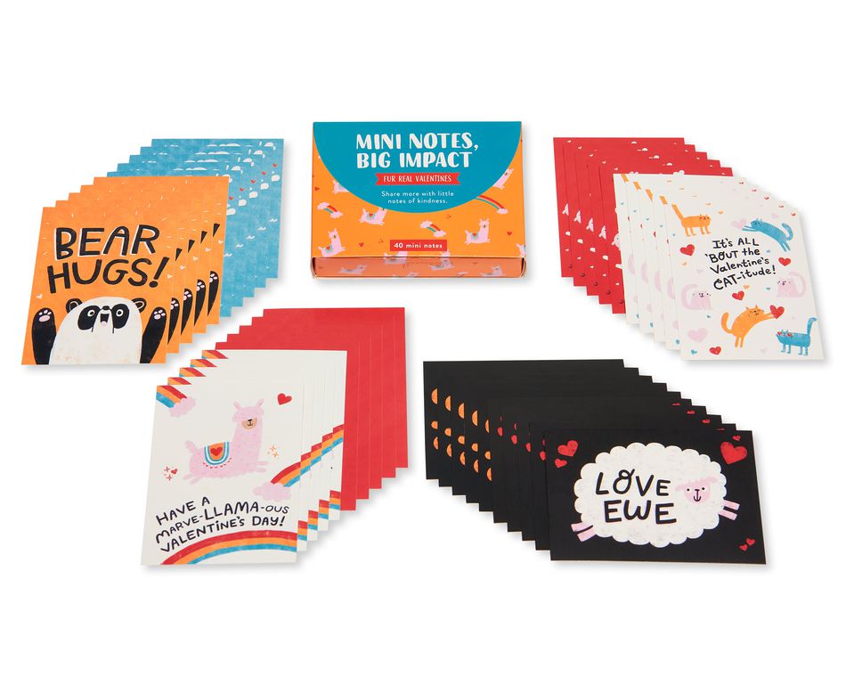 Fur Real Valentines Lunch Box Mini Notes, 40-Count