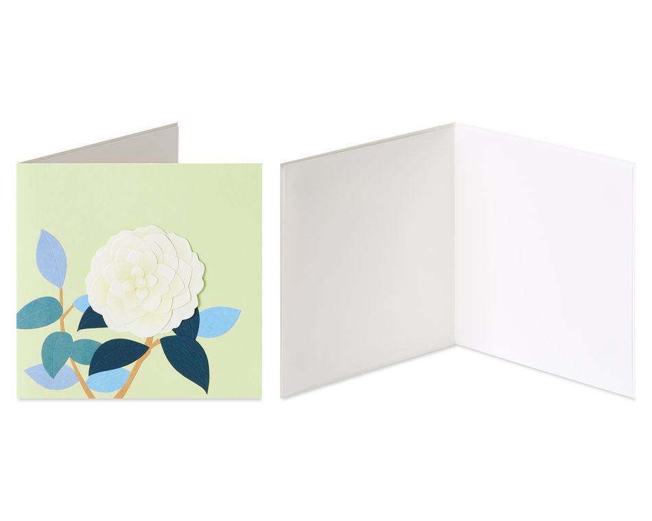 Rose and Orchid Blank Greeting Card Bundle, 2-Count