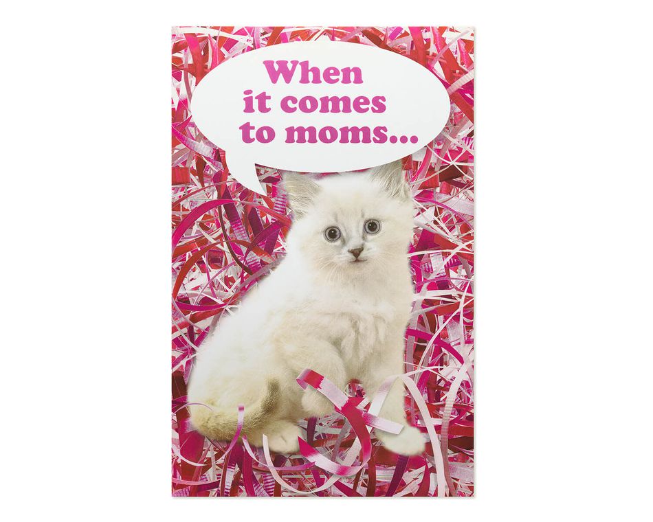 Funny Kitten Mother's Day Card