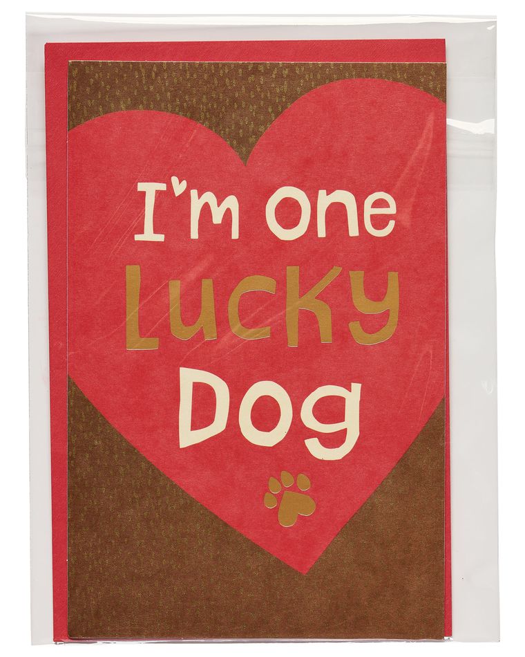 Lucky Dog Valentine's Day Card