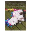 Candy Candy Candy Birthday Card