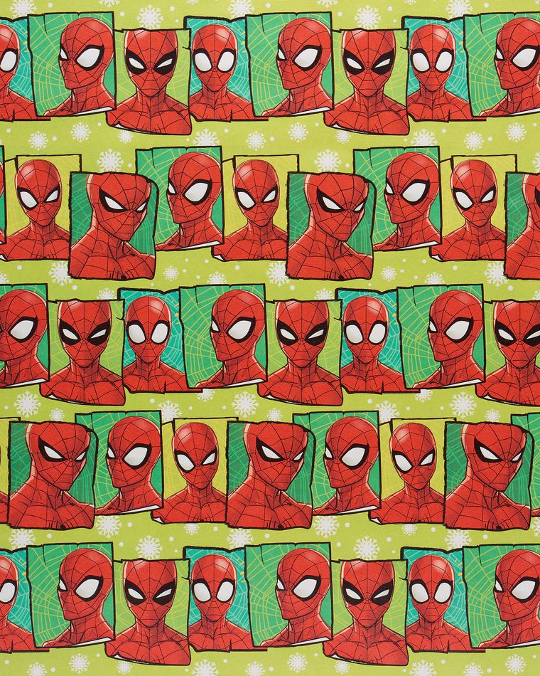 Spider man thesis picture