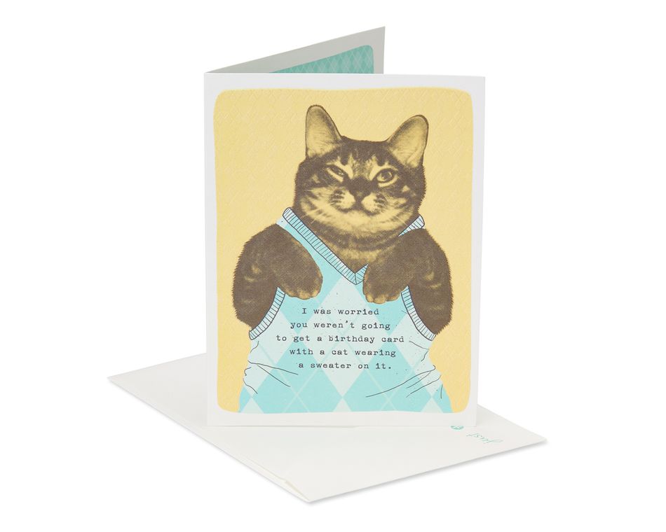 Sweater Cat Birthday Card | American Greetings