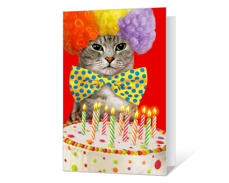 Birthday Cat-ittude