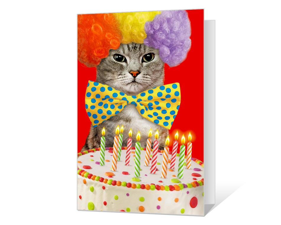 birthday cat ittude printable american greetings