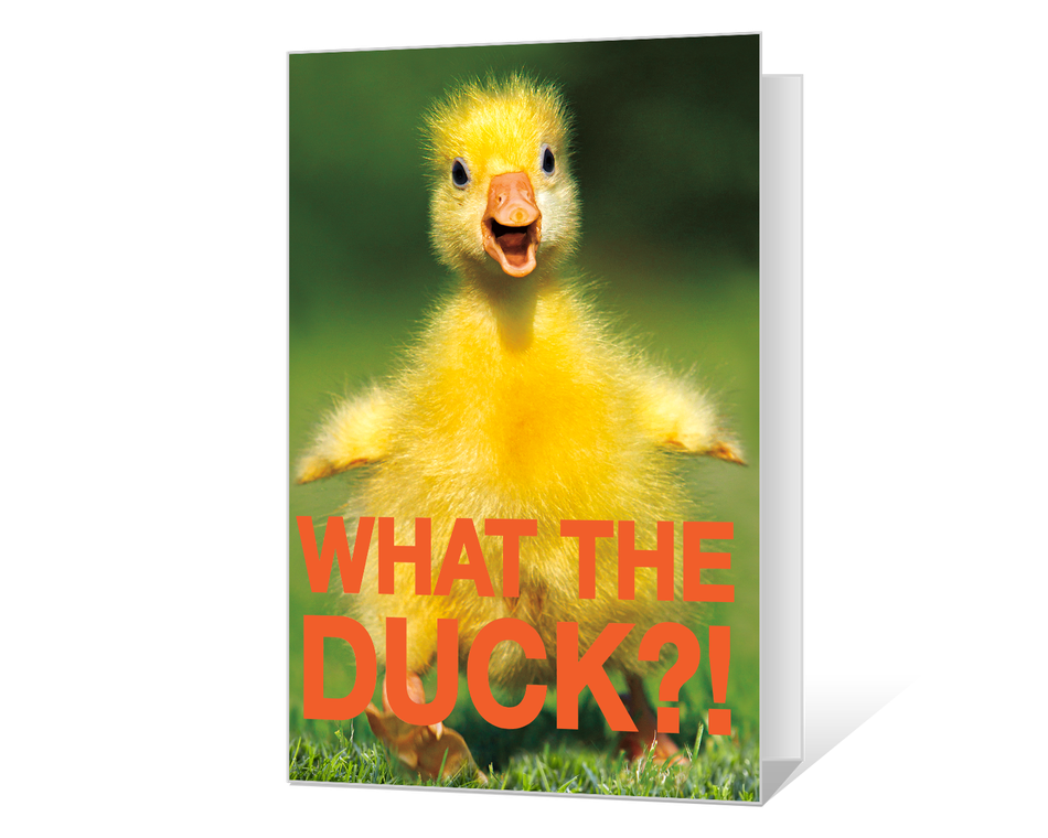 What the Duck Printable