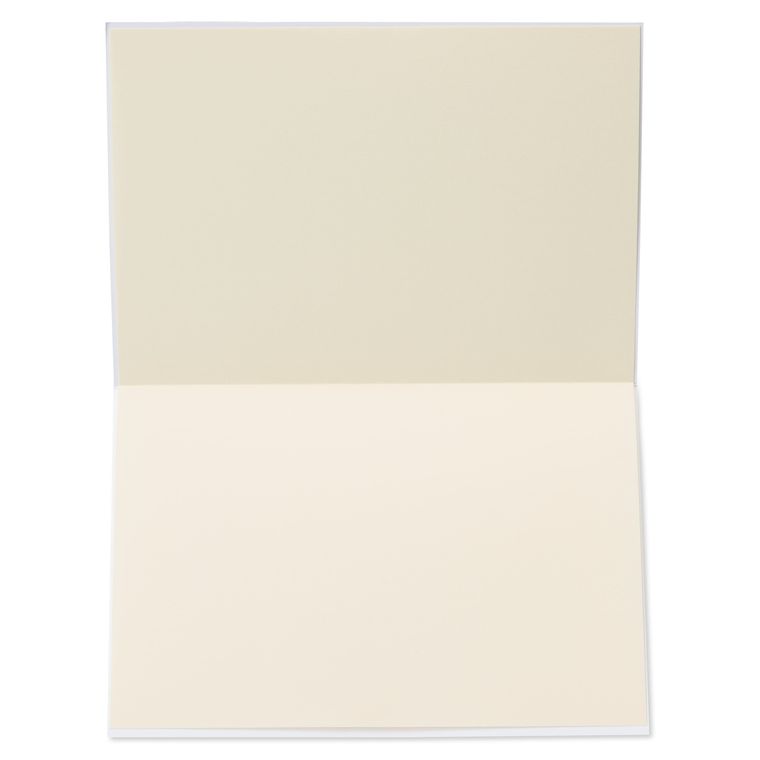 Congrats Congratulations Blank Greeting Card | Papyrus