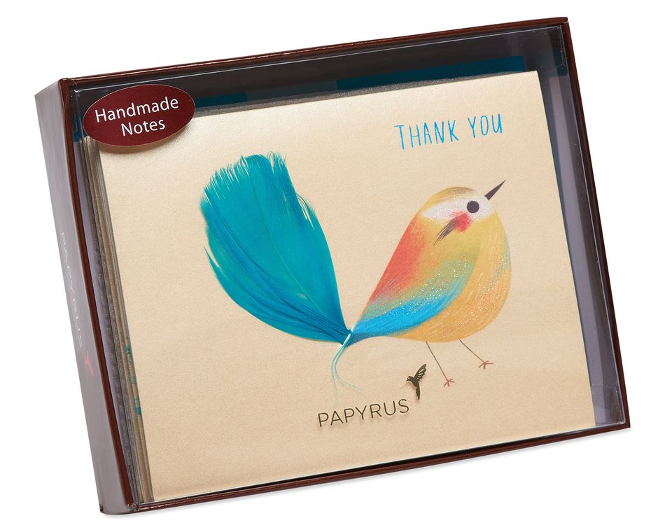 Blank Inside Bird Boxed Thank You Cards And Envelopes 6 Count For 