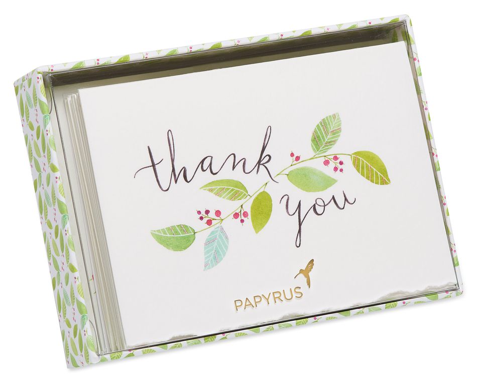 Floral Vine Boxed Thank You Cards And Envelopes, 8Count Papyrus